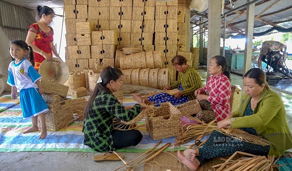 Lục bình trở thành nguyên liệu chính cho các sản phẩm thủ công độc đáo